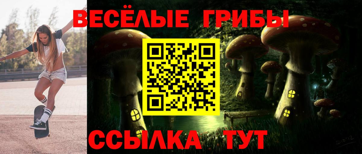 Красноармейск  Галлюциногенные грибы прущие грибы  Галлюциногенные грибы Psilocybe  Вход с VPN 